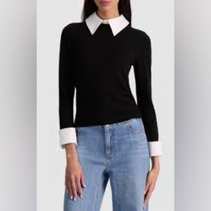 Alice + Olivia Black Top with White Collar